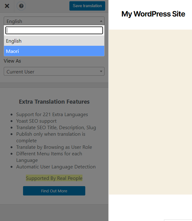 wordpress custom language switcher