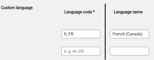 Language code in the custom language settings