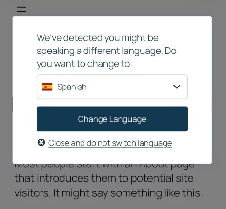 Componente aggiuntivo per il rilevamento automatico della lingua dell'utente - Finestra pop-up responsive sopra il contenuto - cellulare