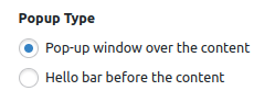 Automatic User Language Detection settings - Popup Type