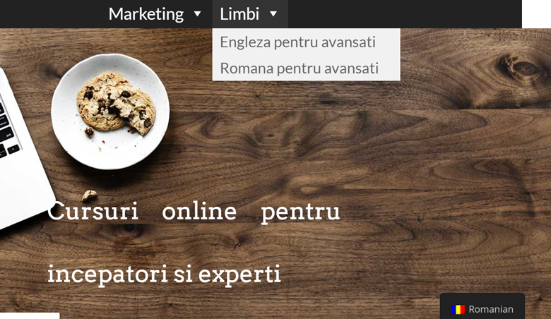 Translate-WordPress-Menu
