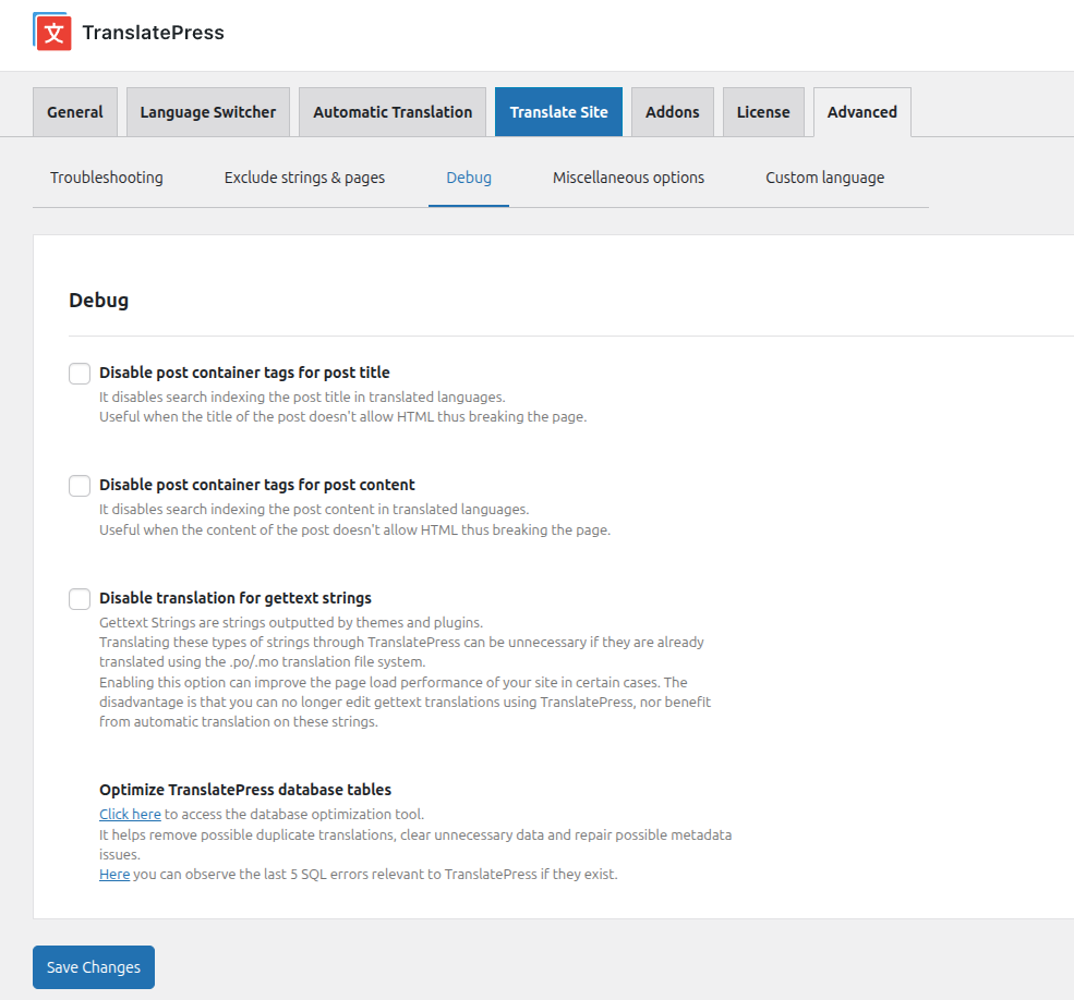 Debug section from TranslatePress settings, Advanced tab