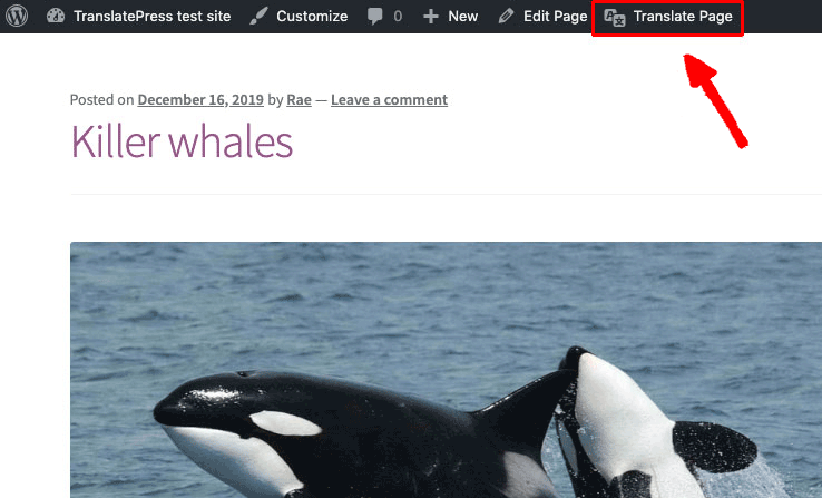 Accessing the TranslatePress visual editing interface