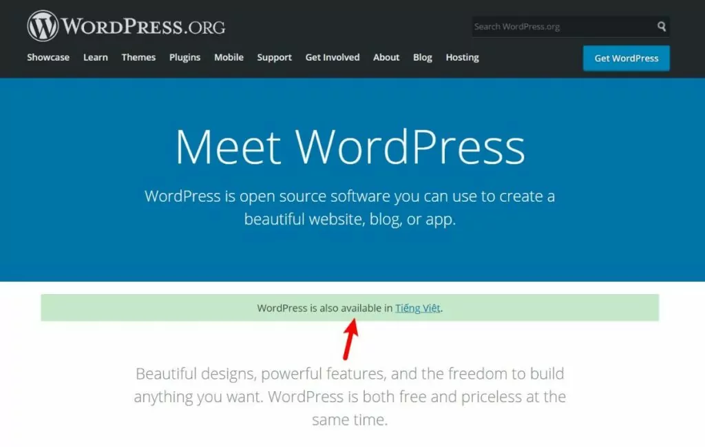 WordPress.org multi language website example