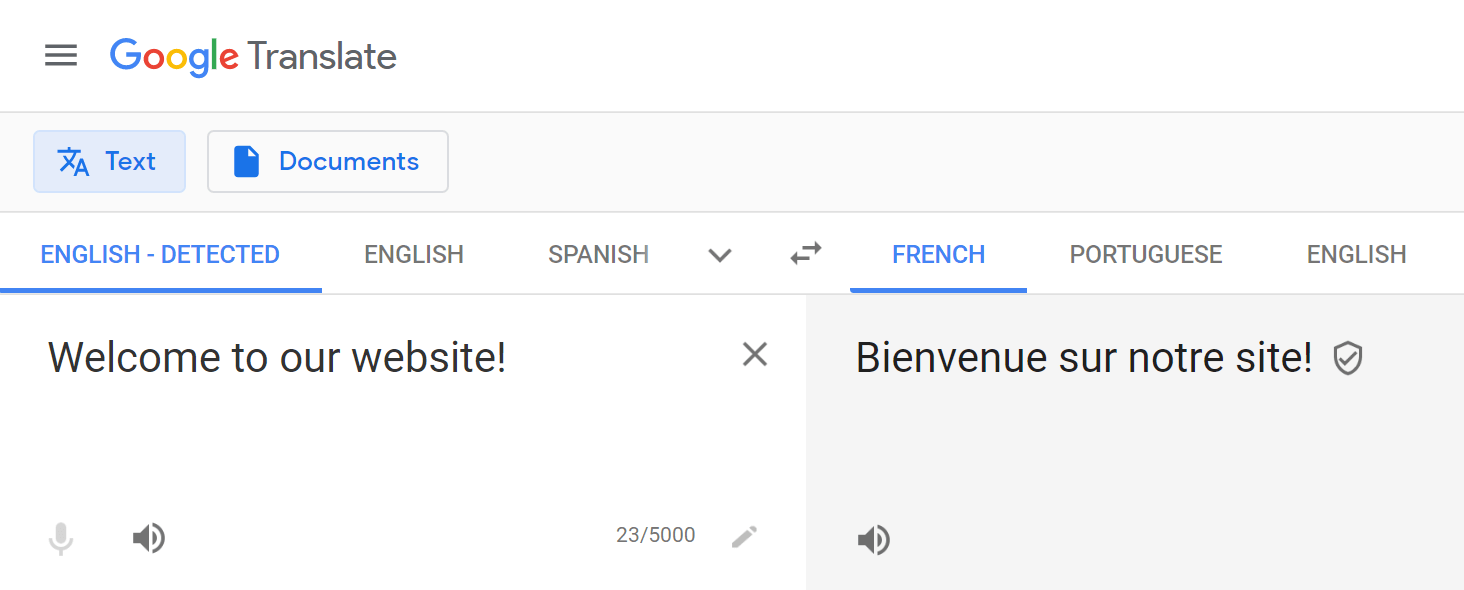 The Google Translate tool for reducing website translation costs