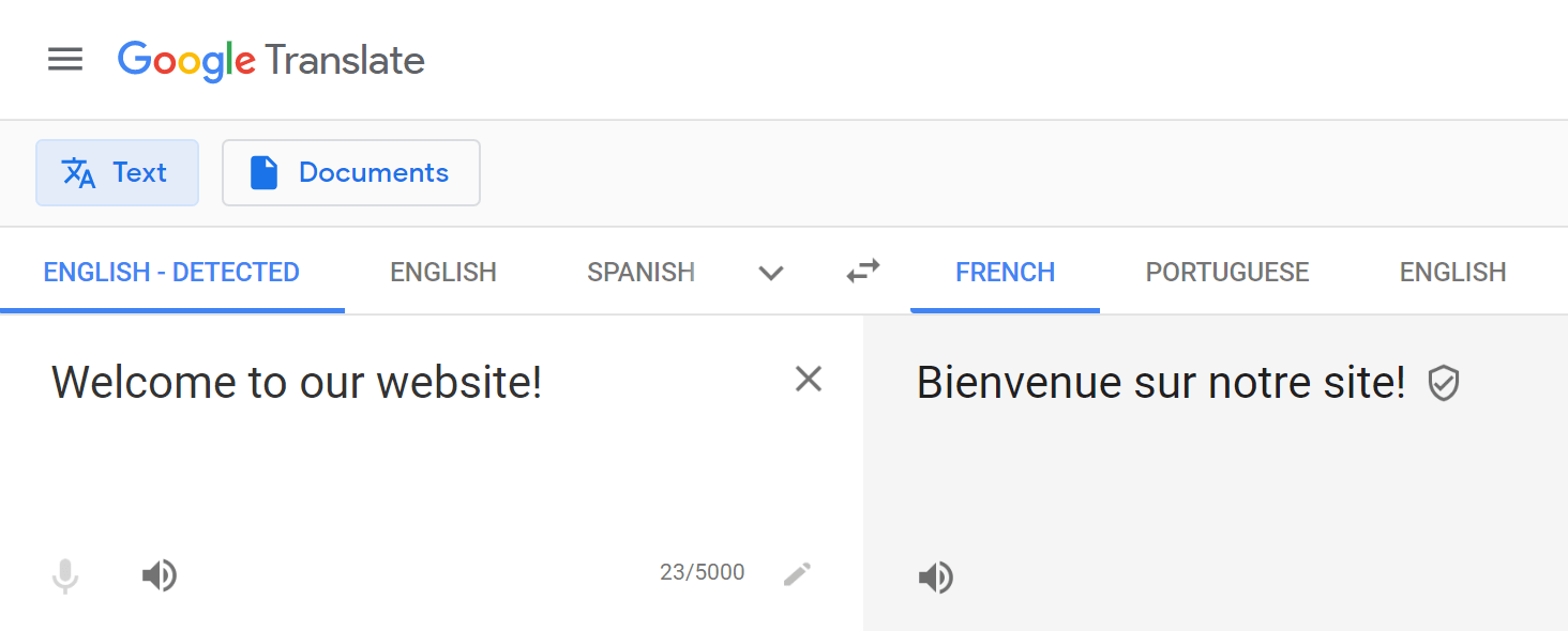 When to Opt for Professional Translation Services