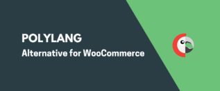 Polylang WooCommerce Alternative