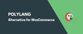 Polylang WooCommerce Alternative