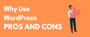 why use wordpress pros and cons