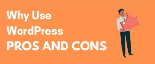 why use wordpress pros and cons