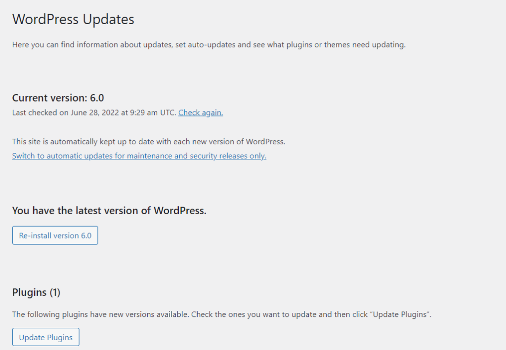wordpress updates pros and cons