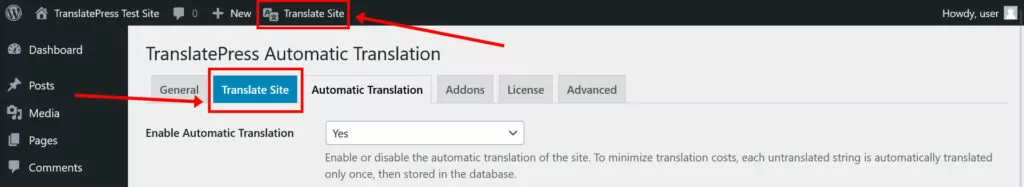 translate site options in translatepress