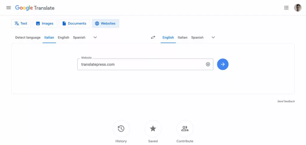 translate website with google translate