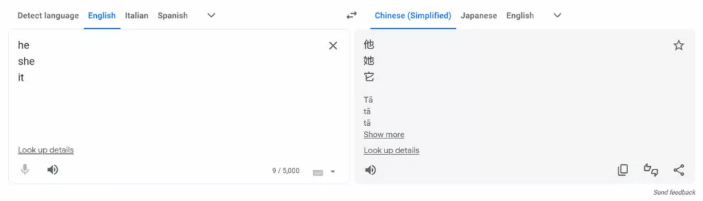 chinese third person pronouns in google translate