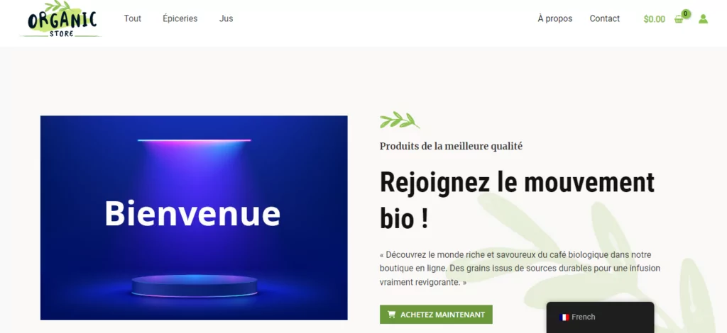french to english translation example site