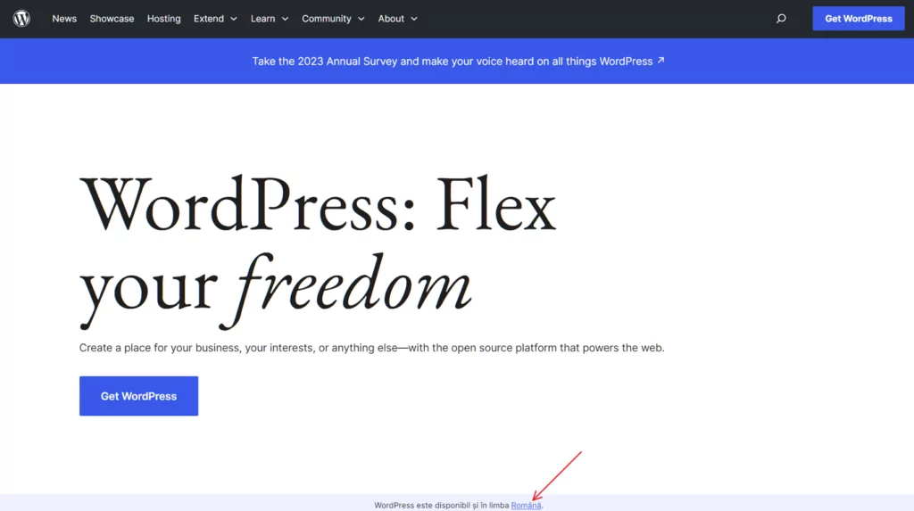 WordPress website multilingual example