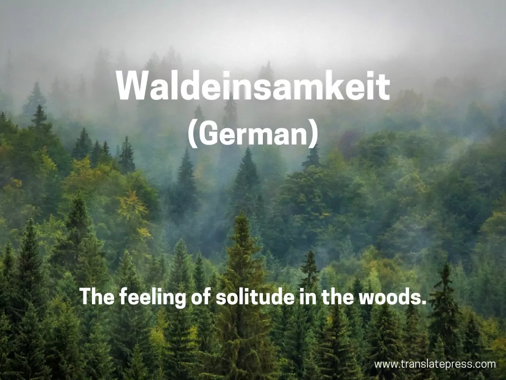 unique german word example waldeinsamkeit