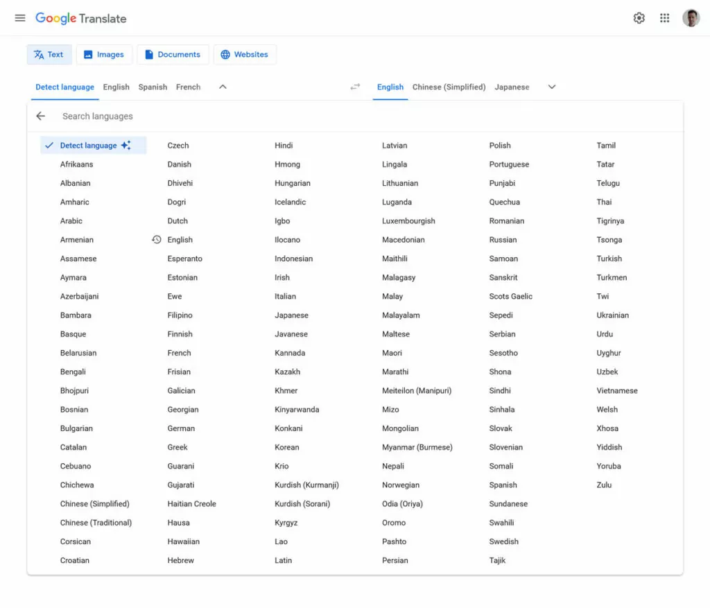 google ai online translator language options