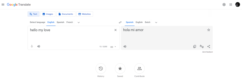 google translate main translation interface