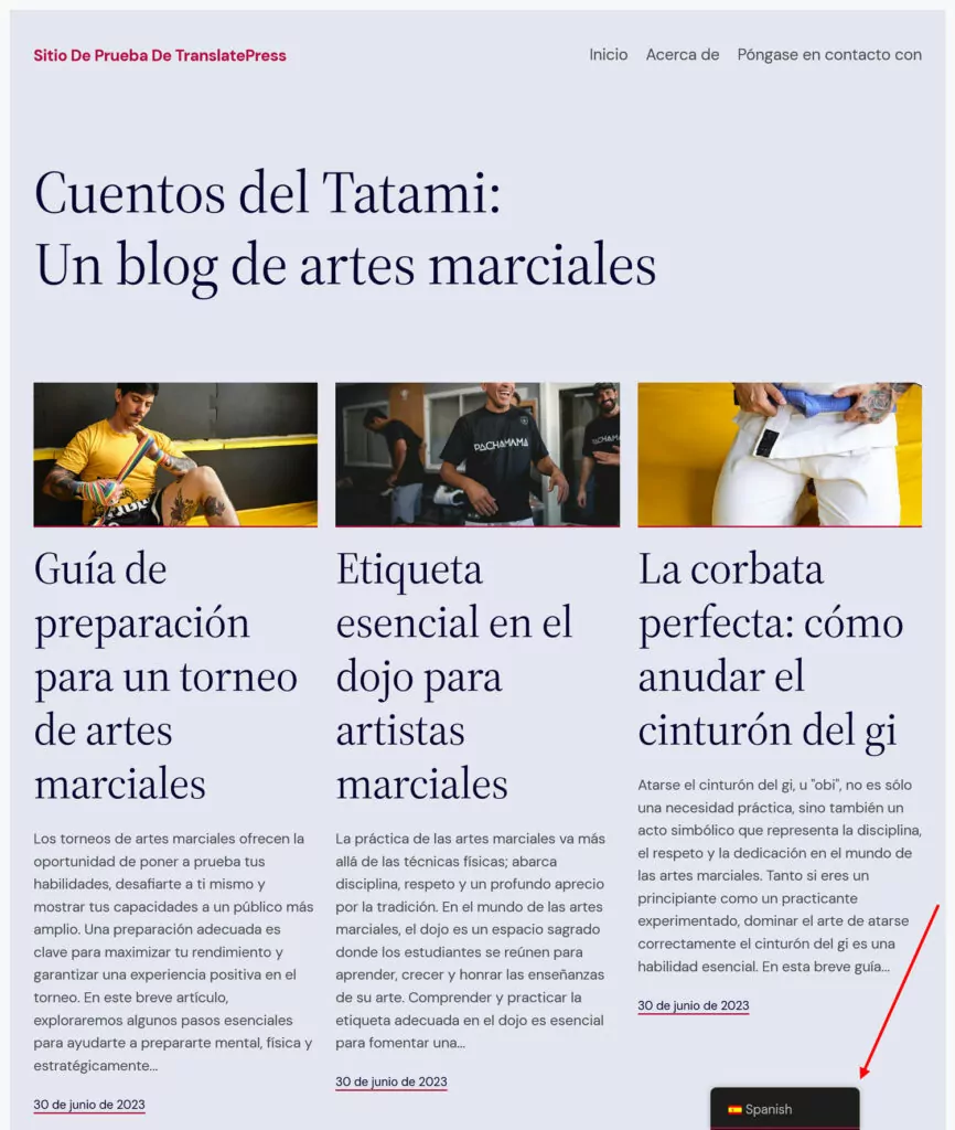 blog articles translated into spanish for international appeal