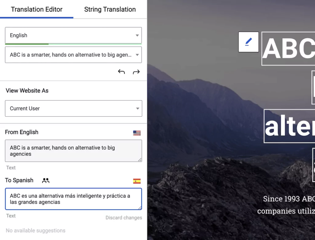 The Translation Editor for TranslatePress, showing the sidebar.