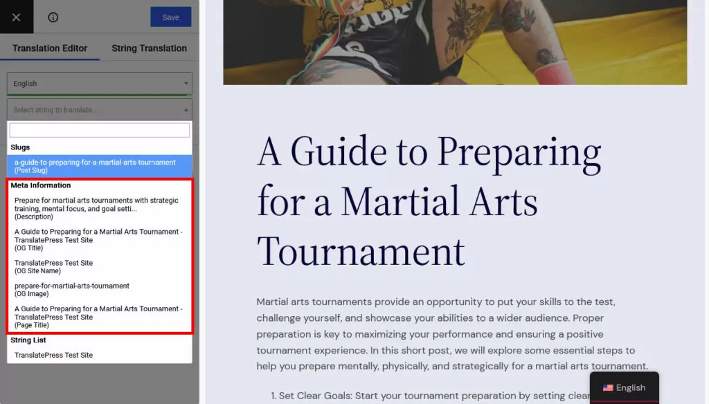 seo meta information in translatepress string list