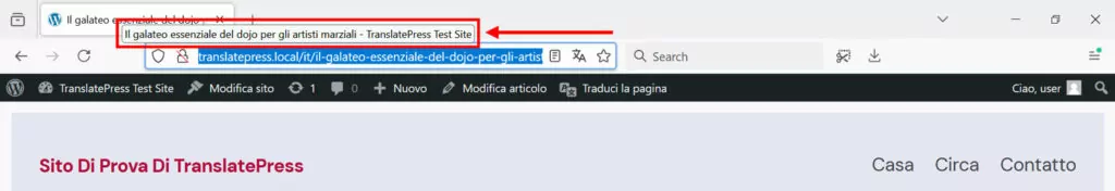 translated page title in browser tab