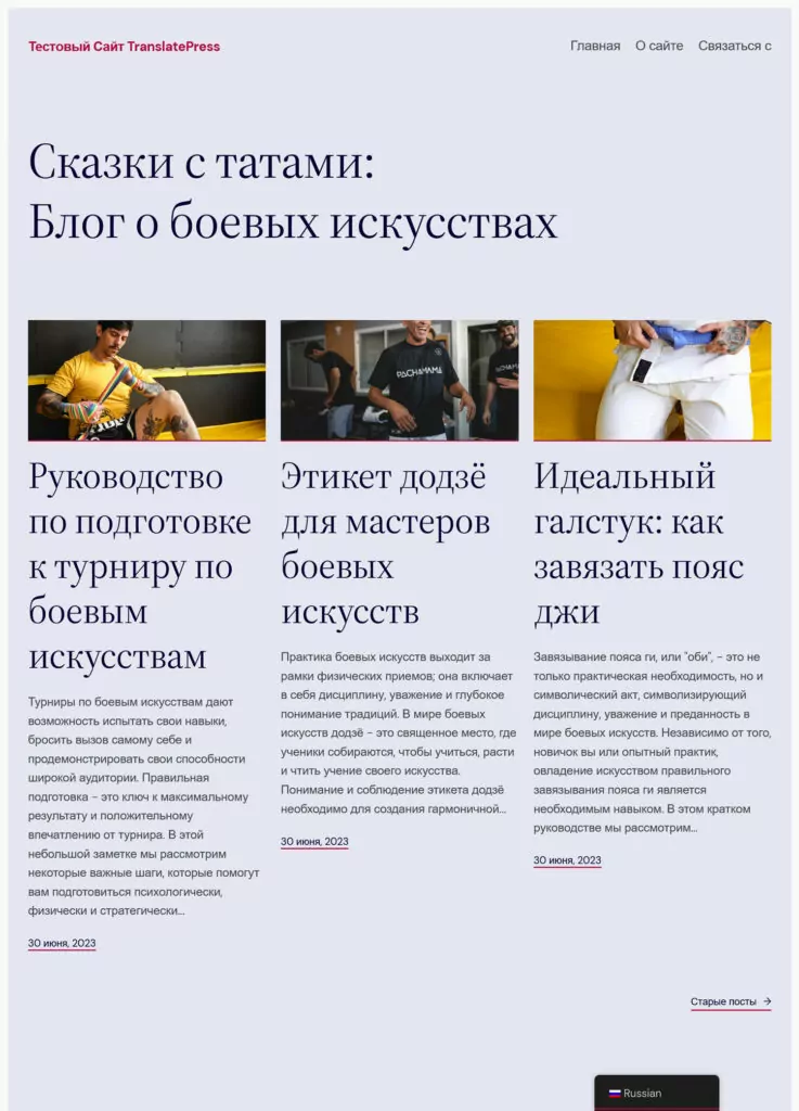 website translate to russian example