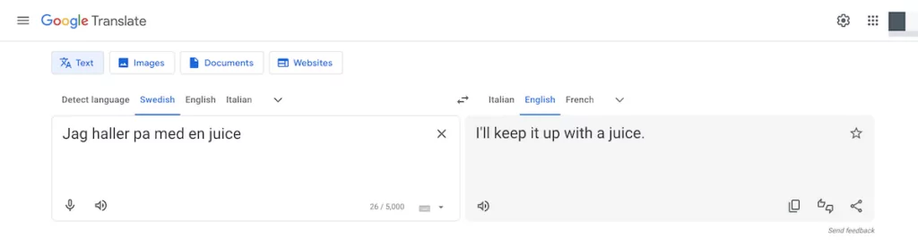 Google Translate's interface showing a missed translation.