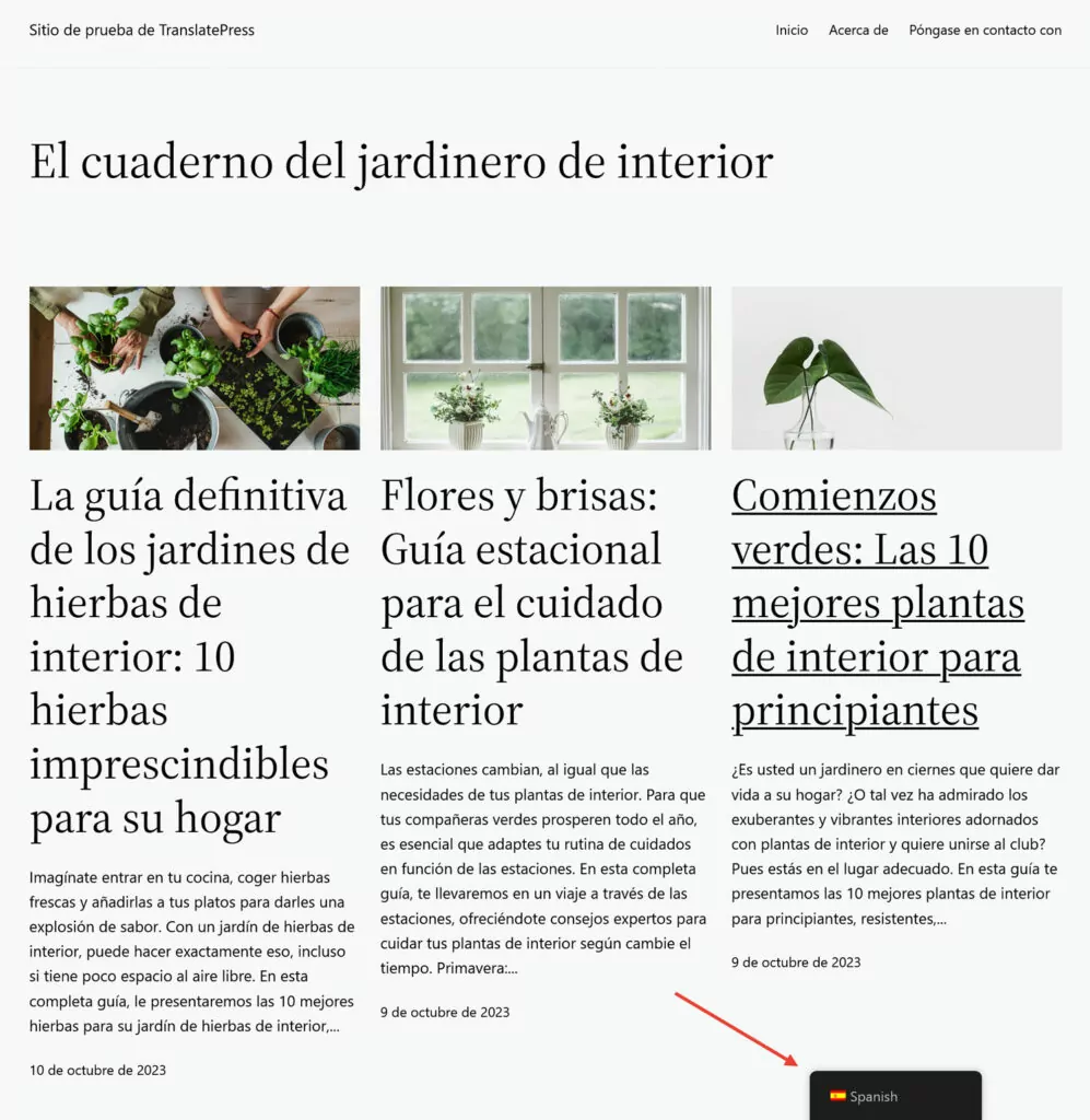 see automatically translated homepage via language switcher