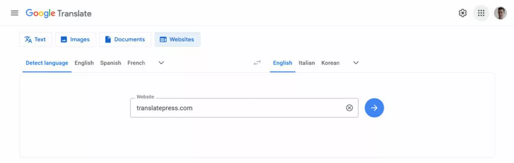 translate website with google translate