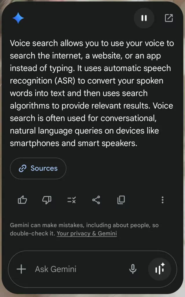 search in voice assistant example