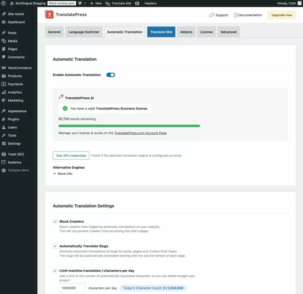TranslatePress AI service settings
