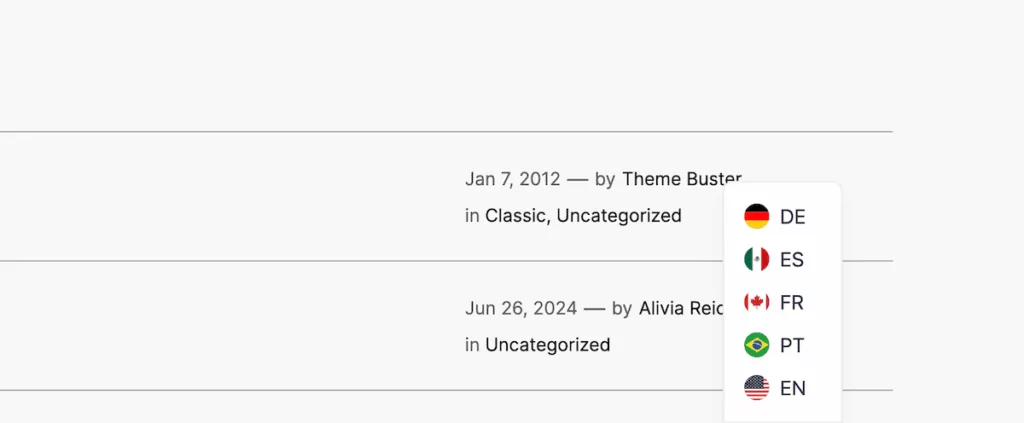 A TranslatePress language switcher showing flags with ISO language codes.