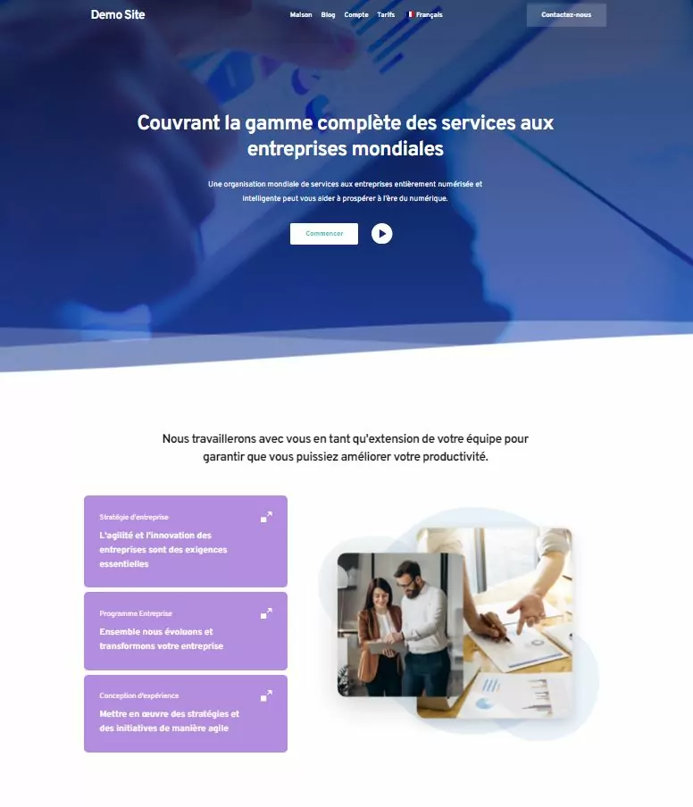 Brizy website translated in French language