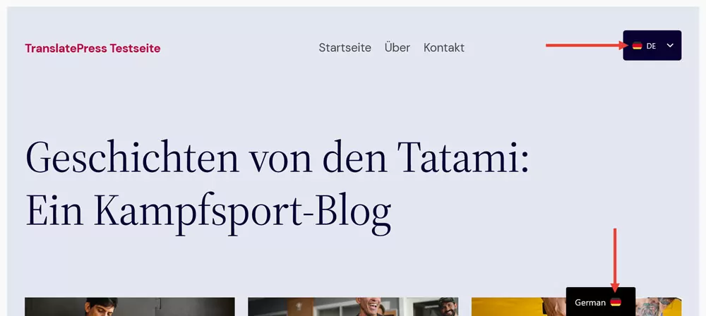 change flag icon on website front end