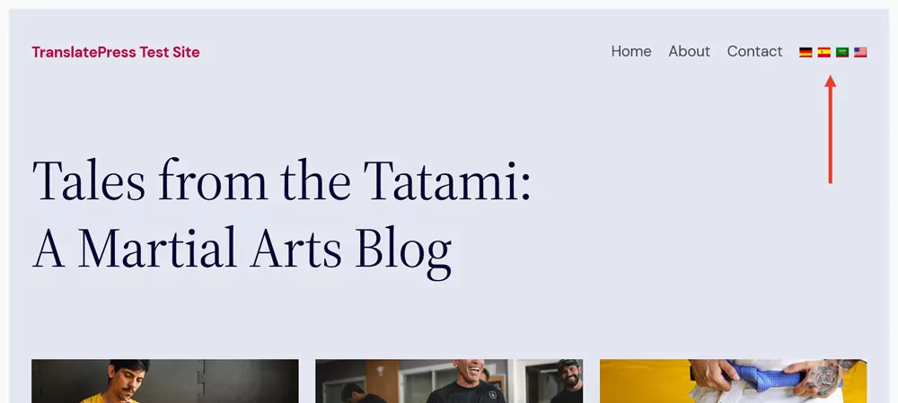 custom php built language switcher