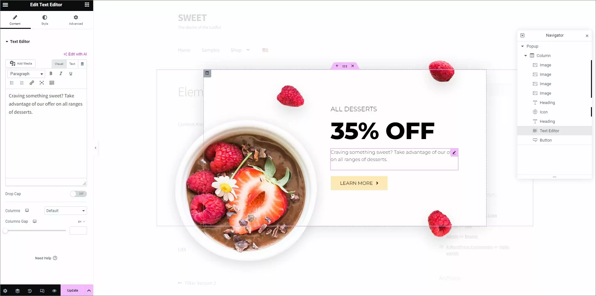 Customizing Elementor popup template