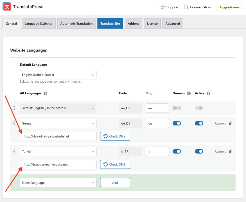 different domains per language options