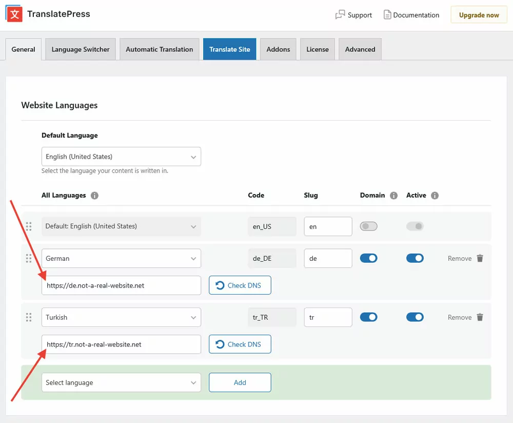 different domains per language options