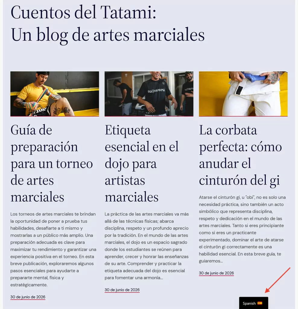 homepage translation finished example